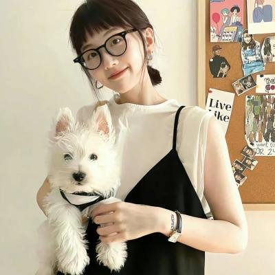 小姐与流浪汉